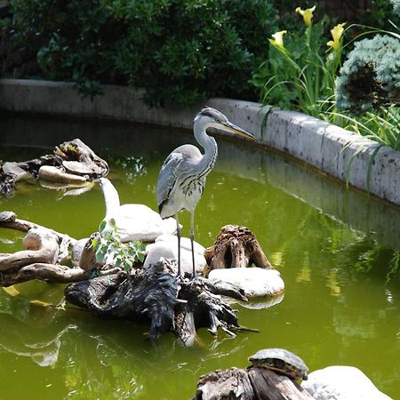 Al Giardino 호텔 판나 외부 사진