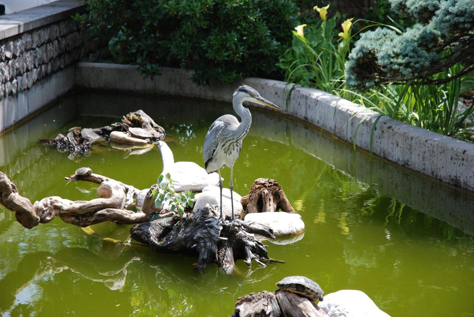 Al Giardino 호텔 판나 외부 사진
